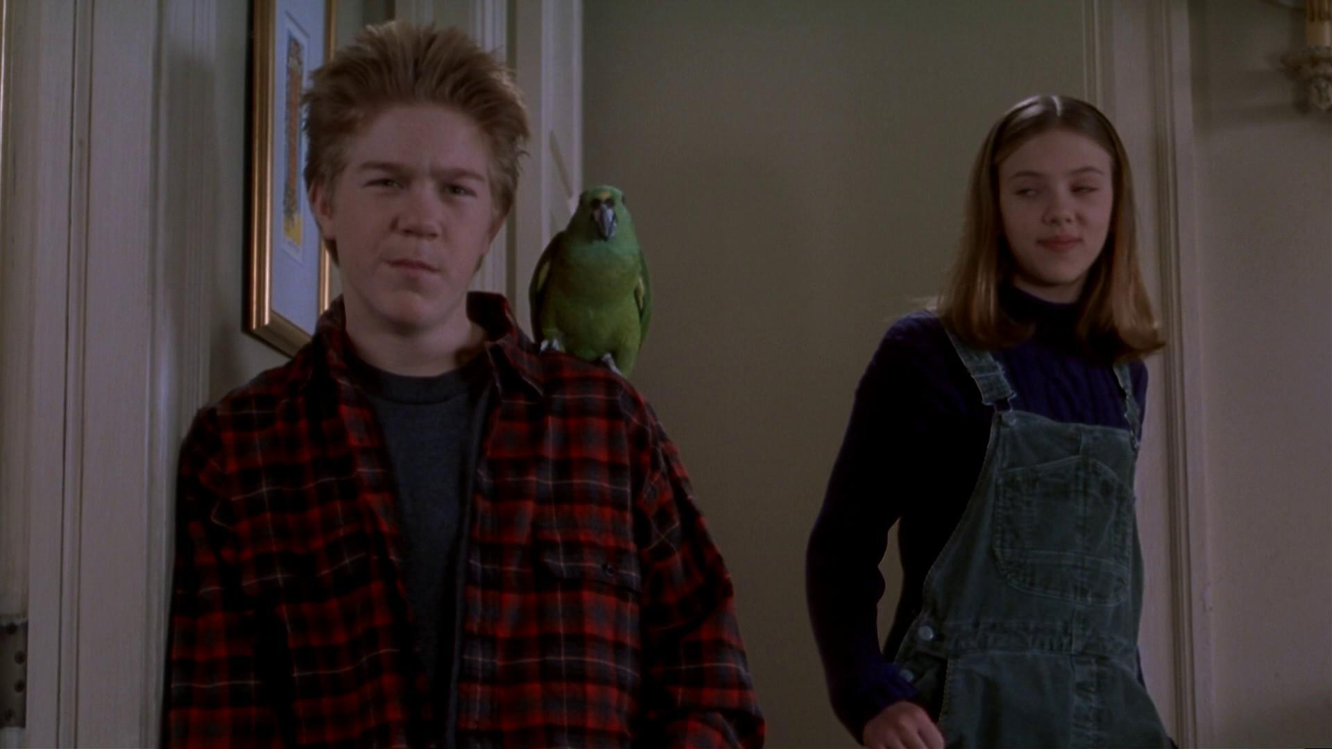HomeAlone3DVD_060.jpg