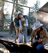 HorseWhisperer-Stills_032.jpg