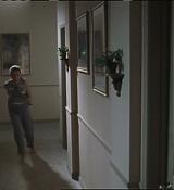 MyBrotherthePigDVD_025.jpg