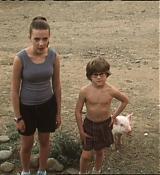 MyBrotherthePigDVD_600.jpg