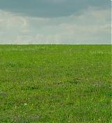 Image00635.JPG