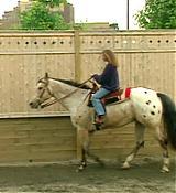 Image00071.jpg