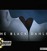 EAsylum2006_013.jpg